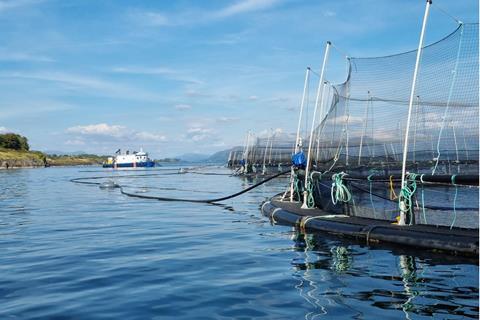 Scottish Sea Farms, Oban