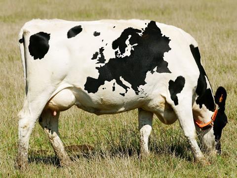 analysis milk, cow grazing in field