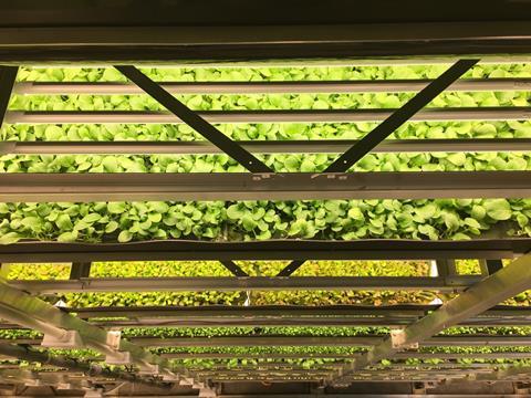 AeroFarms Vertical Farm LevelsofGrowing