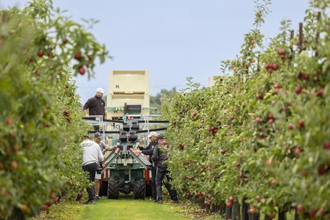 Shoulder-to-shoulder Egg for Mobile: the Apple-strawberry 