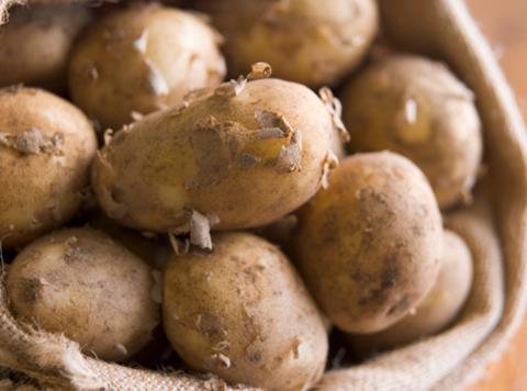 Jersey Royal potatoes