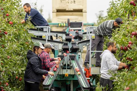 FSP_Apple_Harvest_077