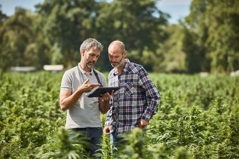 farming with tableet - getty