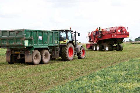 Pea Harvesting