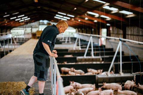 Hugh Shedden - Shedden Farms, Shipton, Yorkshire (10)