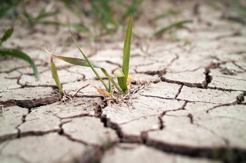 dry earth drought climate change