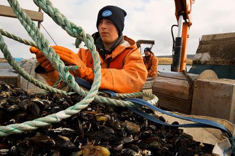 MSC Mussels fishing