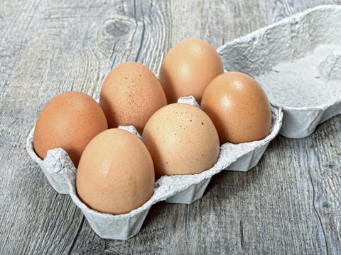 eggs