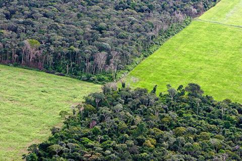 Soy plantation in Amazon