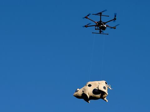 orchard pig drone