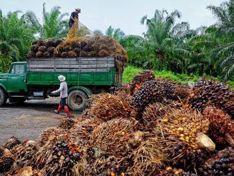 palm oil one use