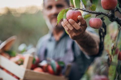 apple farm farmer grower fruit supply