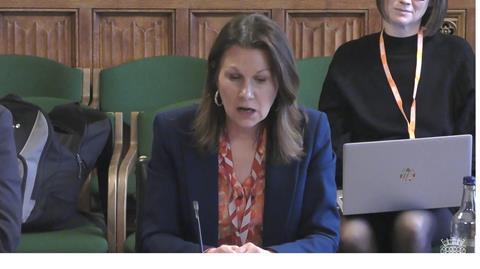 baroness efra inquiry