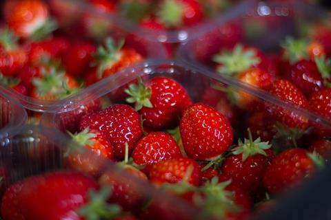 Strawberry Punnets