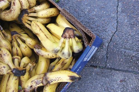 Food waste rotting bananas