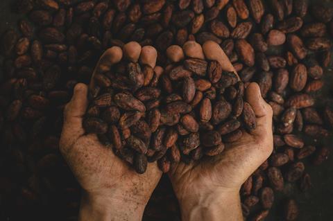 pablo-merchan-montes-SCbq6uKCyMY-unsplash
