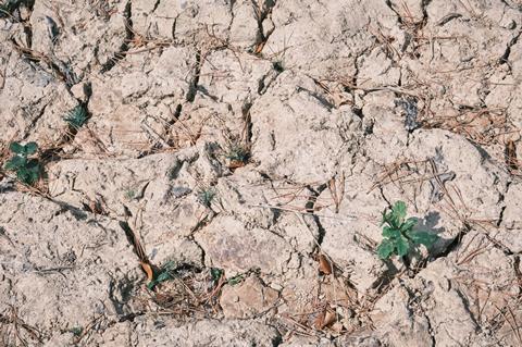drought