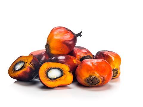 palm kernel one use