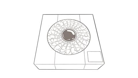 Iceland King Prawn rings