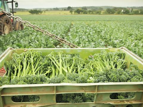 tenderstem broccoli