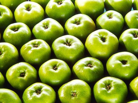 bramley apples