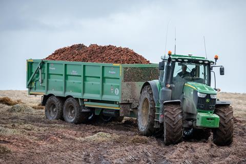 Harvested Carrots