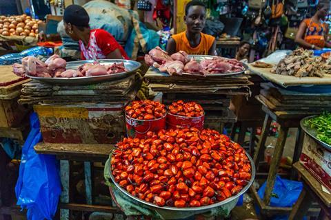 palm oil kernels in market