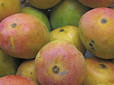 Alphonso mango ban defended by Defra | News | The Grocer