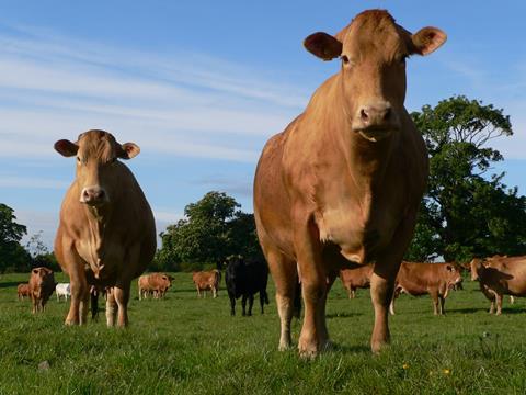 British meat for hong kong exports