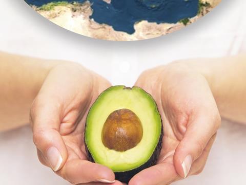 world avocado association 