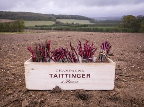 taittinger domaine evermond kent