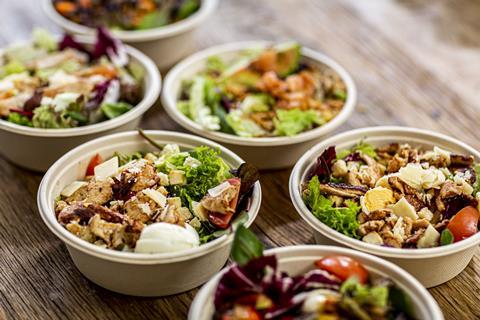 healthy food organic salad lunch