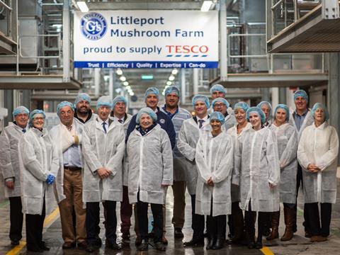 tesco mushroom plant