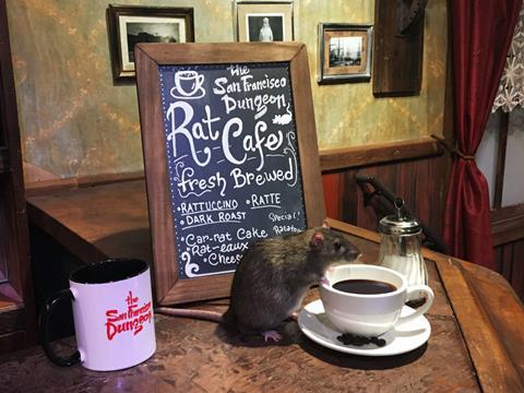 rat cafe