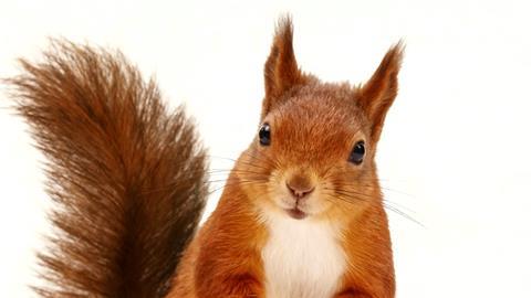 MASTER 8 C.00_00_04_02.Still006