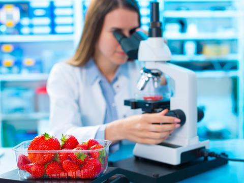 scientist microscope food safety testing
