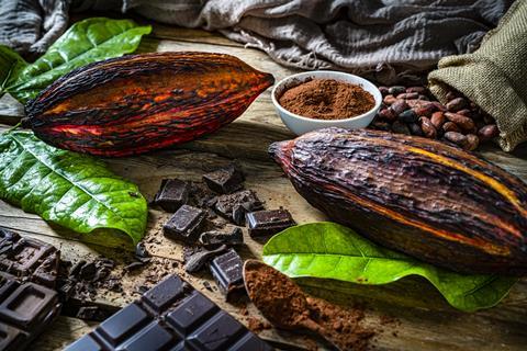 chocolate cocoa (4)