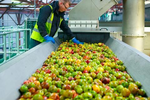 Green apples on conveyor