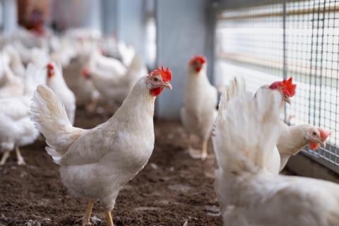 GettyImages-2215291121