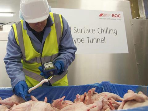 campylobacter testing chicken