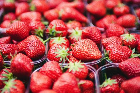 Strawberries in punnets