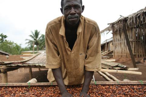 fairtrade cocoa