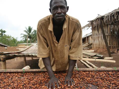 fairtrade cocoa