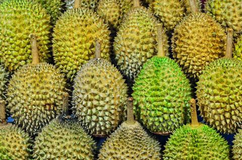 durian fruit