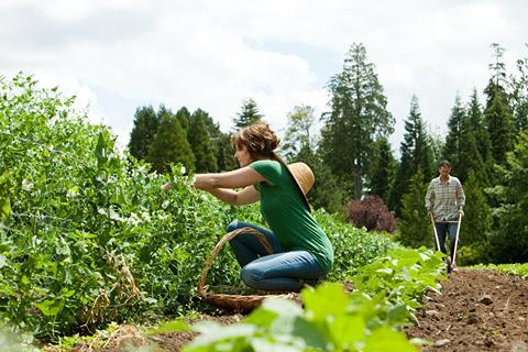 farming with leaves - getty