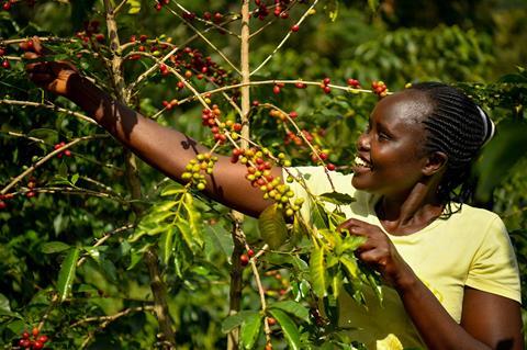Fairtrade coffee farmer Alice Jeptoo, a member of the Kapkiyai Multipurpose Cooperative Society, in Kenya. Credit - Fairtrade Foundation