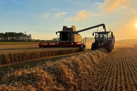 Harvesting the Crop of Winter Wheat - stock photo
