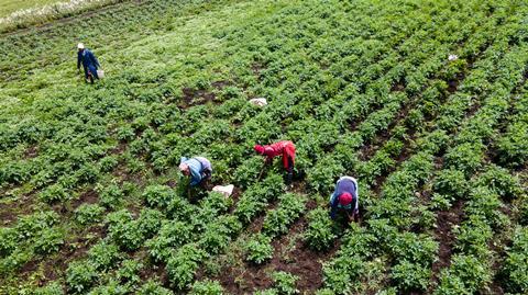 farmers in kenya