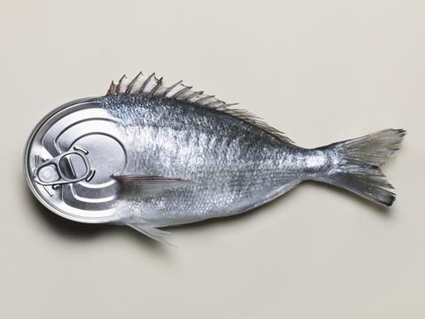 fish feature, sardine tin