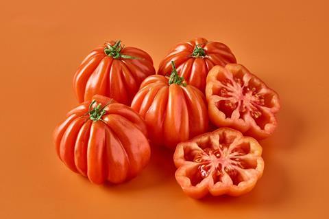 British Coeur de Boeuf Tomtoes